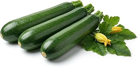 Semi zucchino diamant - zucchino,
