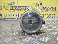 Fedenebbia Destro Chrysler