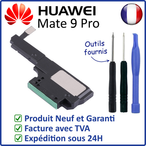 Module haut parleur - module, haut-parleur