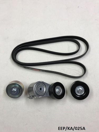 Cinghia serpentina kit - cinghia,