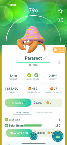 Pokémon vecchio pokemon - pokémon,