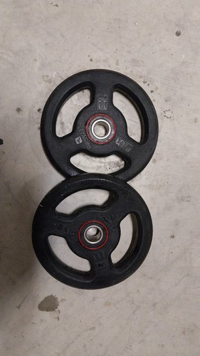 Pesi domyos 5kg - domyos,
