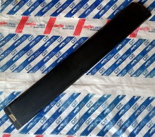 Modanatura Fascia Paracolpi