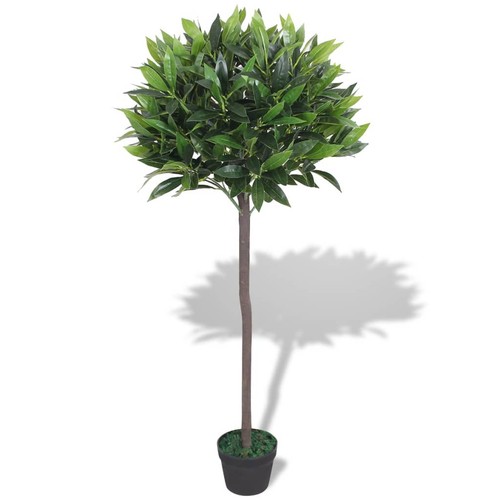 Vidaxl albero alloro pianta - albero,