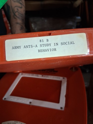 16mm educational film army - educational,
