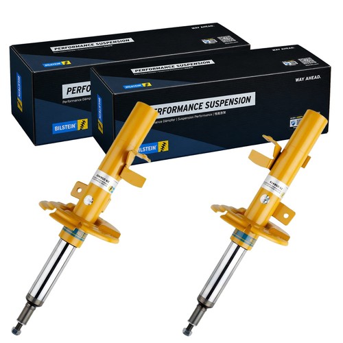 Ammortizzatori gas - 2x,