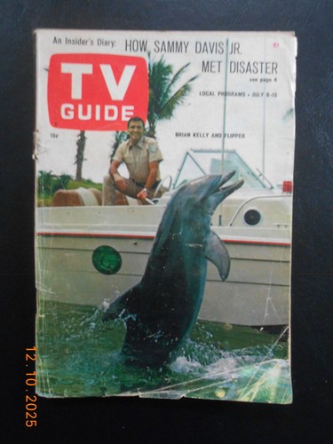1966 flipper show guida - flipper,