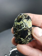 Nevada Geco Variscite grezzo