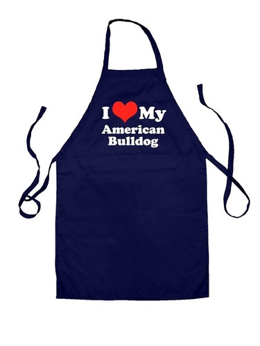 Love americano bulldog - love, my
