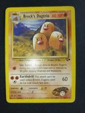 Pokémon - Brock's Dugtrio