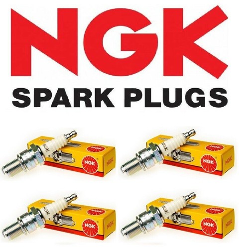 Ngk dcpr8ekc candele - dcpr8ekc, 4