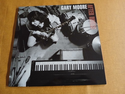 Gary moore after hours - moore,