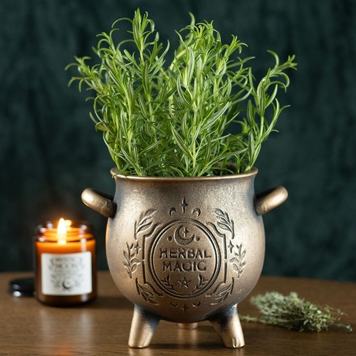 Calderone pagano wiccan erba - calderone,
