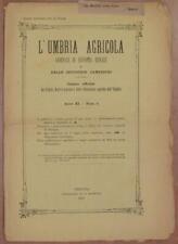 L'UMBRIA AGRICOLA 30 MARZO 1893 CITTA DI CASTELLO VITE AMERICANA BARBABIETOLA