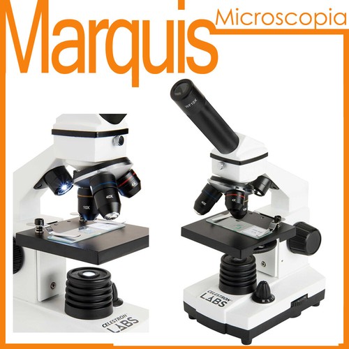 Microscopio celestron labs - microscopio,