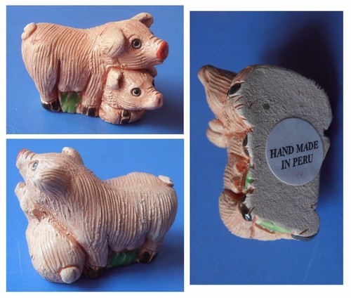 Animali famiglia maiale - , scrofa