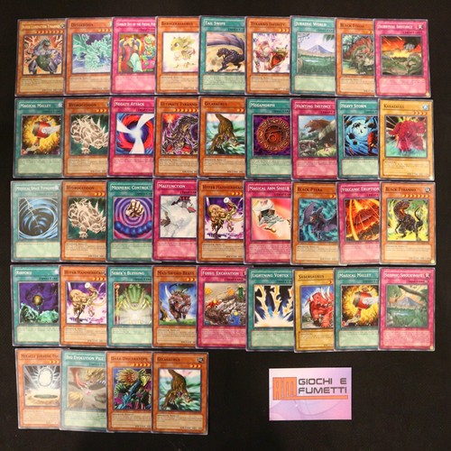 Mazzo completo dinosauro - completo,
