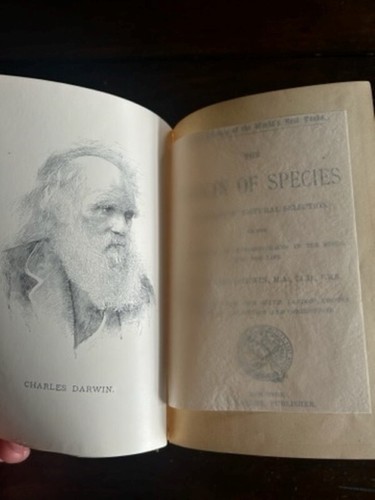 1890 darwin origin species - 1890,