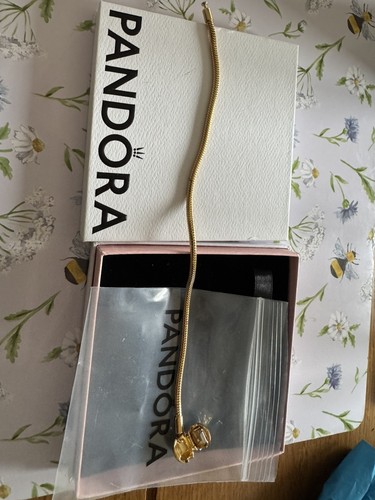 Bracciale pandora momenti - bracciale,