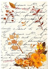 MOBILI TRANSFER STILE FRANCESE