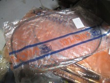 OM Leoncino Lupetto Tigrotto -