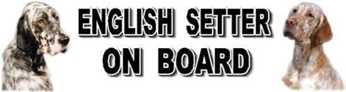 Adesivo auto setter inglese - adesivo,