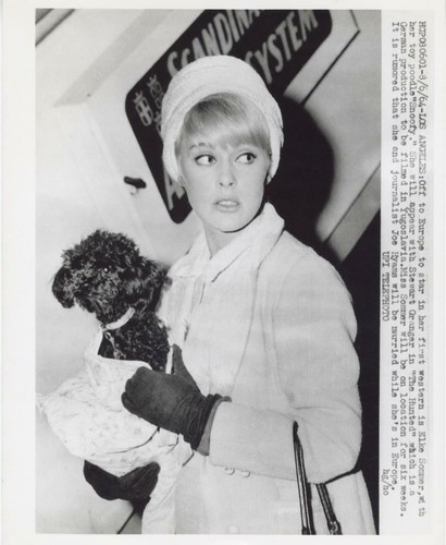 Elke sommer foto - elke, sommer-foto