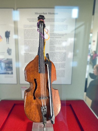 Strumento corda viola - a,