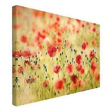 QUADRO MODERNO FIORI ROSSI