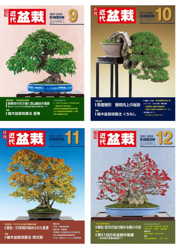 Monthly kindai bonsai magazine - monthly,
