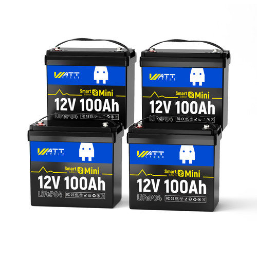 Batteria 12v 100ah lifepo4 - 100ah,