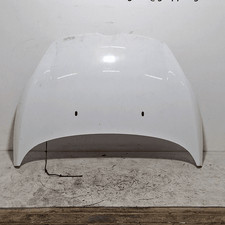 1774791 Cofano ant.  FORD
