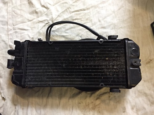 Radiatore honda shadow - radiatore, 750