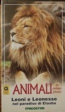 VHS Piero Angela Animali Leoni E Leonesse 1994
