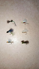 6 MOUCHES SECHES CDC DIVERSES