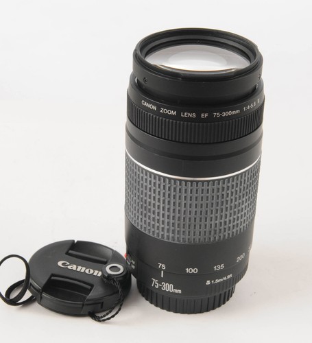 Canon 300 iii 4 - canon, 75-300