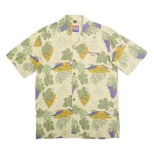 DEMCRAZY Uomo Crema & Verde