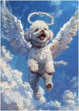 Puzzle Angel Bichon Frise