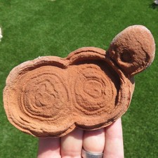 Minerali *** GRANDE e RARA STROMATOLITE FOSSILE Marocco