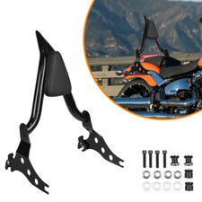 Detachable Sissy Bar Passenger