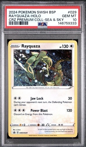 2024 pokemon swsh bsp - pokemon,