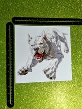 Cane Molosso White Dogo