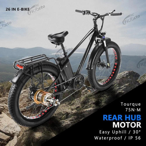 City ebike 48v 18ah - 48v, bicicletta