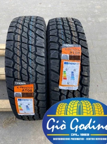Coppia pneumatici tracmax - 2,