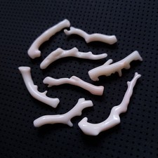 Corallo bianco non tinto