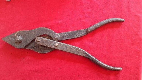 Pinza cesoia taglia - pinza, filo
