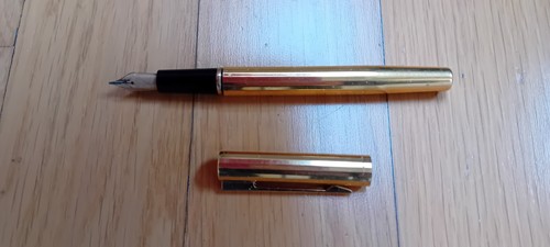 Penna stilografica waterman - stilografica,