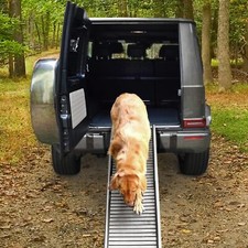 Rampa cani auto ingresso