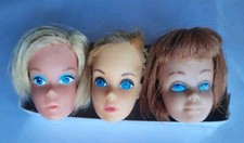 Barbie Teste Per Restauro