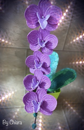 Orchidea all uncinetto - orchidea, all’uncinetto